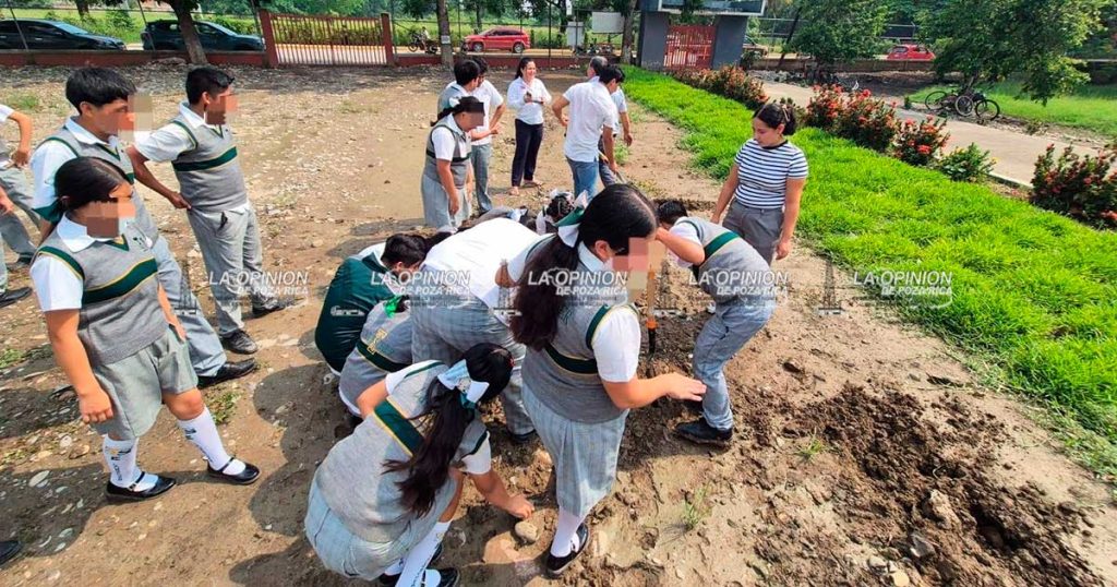 Jornada de reforestación con participación de estudiantes Jornada de reforestación con participación de estudiantes