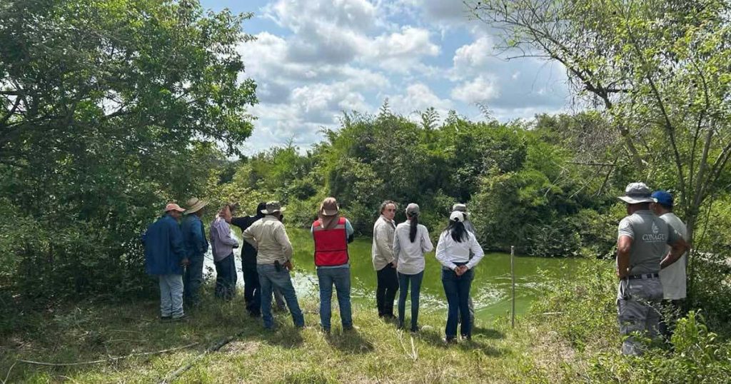 Investigan mortandad de peces en Ozuluama Investigan mortandad de peces en Ozuluama