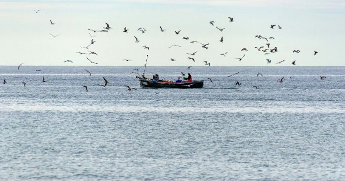 Pescadores reportan hidrocarburo en Vega de Alatorre Pescadores reportan hidrocarburo en Vega de Alatorre
