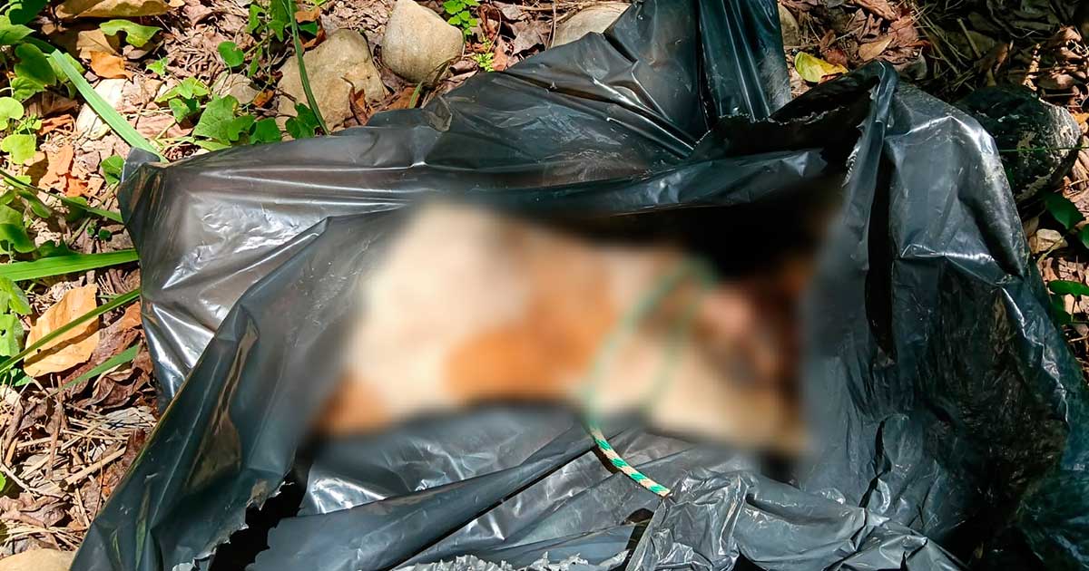 DENUNCIAN PRESUNTO MALTRATO ANIMAL