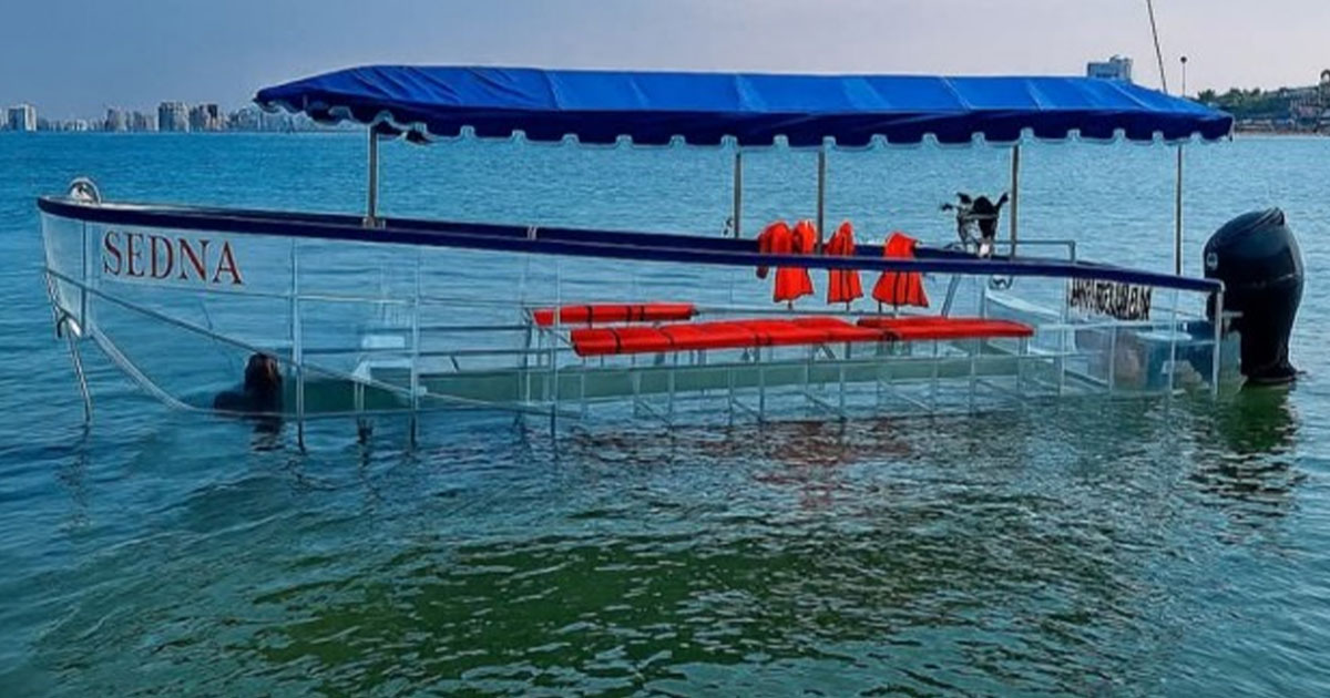 EL TAJÍN INSPIRA NUEVO ARRECIFE
