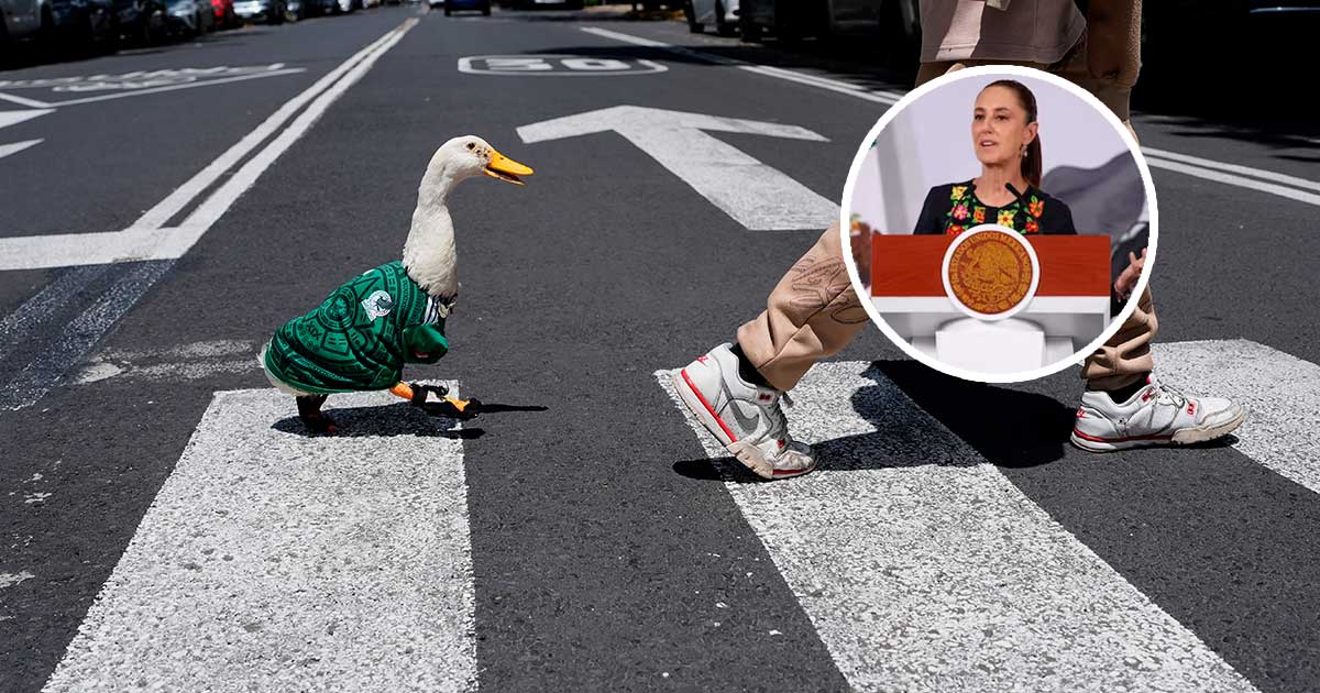 Sheinbaum invita a Pato Merlín mundialista a la mañanera