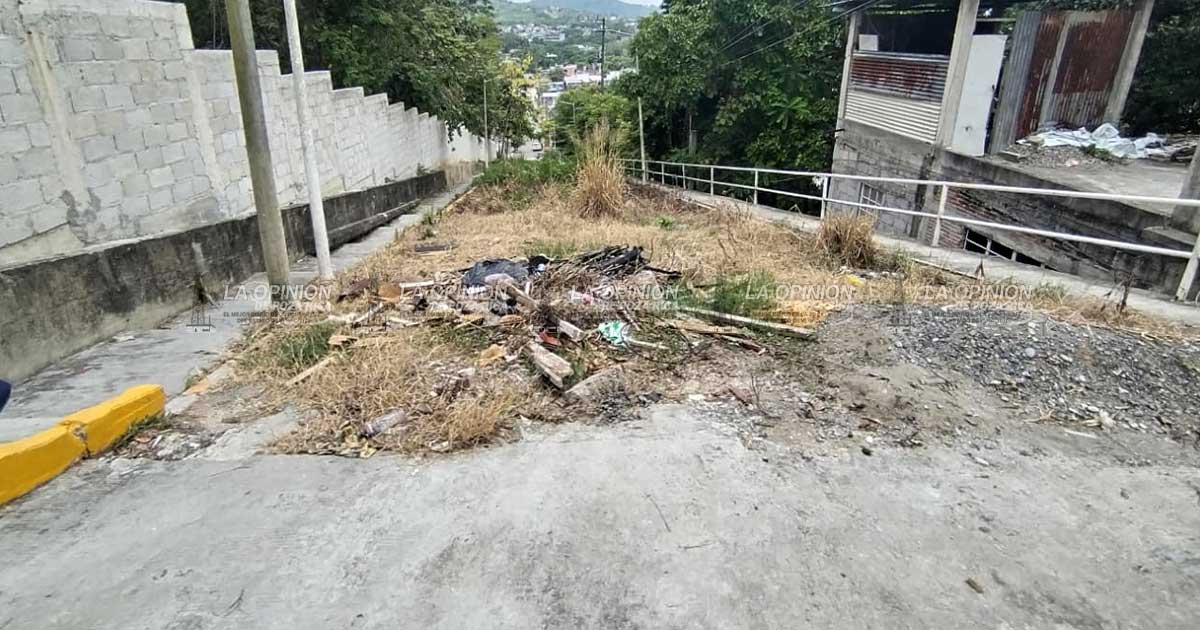 Generan basurero clandestino sobre la colonia Sector Popular