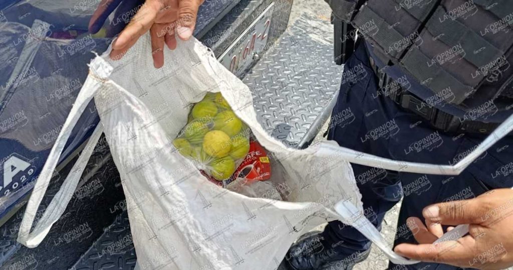 Detienen a pareja por presunto robo Detienen a pareja por presunto robo