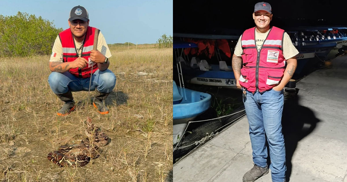 Alerta a animalistas presencia de gusano barrenador en fauna silvestre Alerta a animalistas presencia de gusano barrenador en fauna silvestre