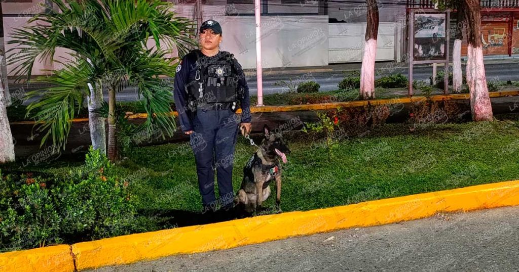 ¿MANEJAS TOMADO?