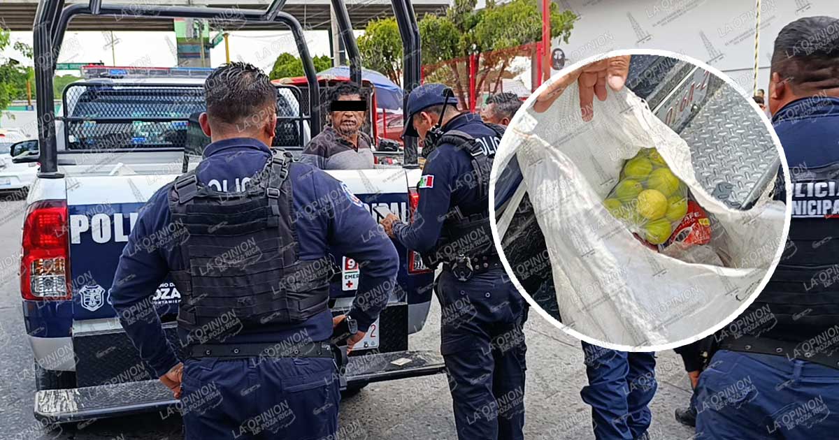 Detienen a pareja por presunto robo Detienen a pareja por presunto robo