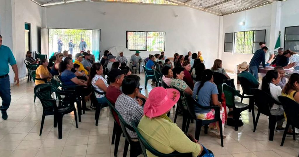 Controlado el gusano barrenador en el ganado de Tecolutla Controlado el gusano barrenador en el ganado de Tecolutla