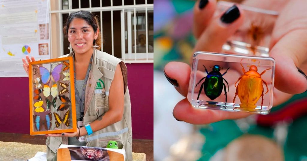 Museo Itinerante de Historia Natural despierta interés por la ciencia entre jóvenes zamoreños Museo Itinerante de Historia Natural despierta interés por la ciencia entre jóvenes zamoreños