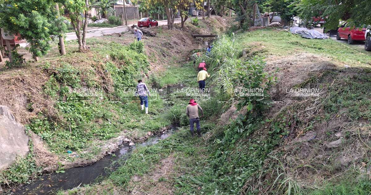 Refuerzan labores de desazolve de canales Refuerzan labores de desazolve de canales