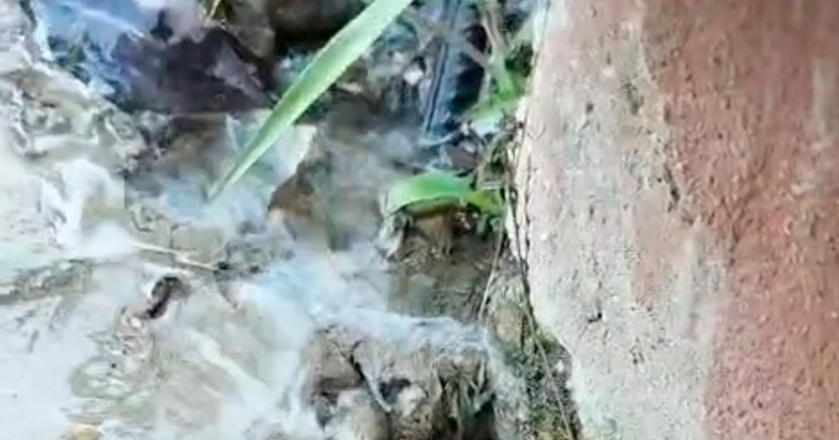 Reportan fuga de agua en la colonia Agustín Lara Reportan fuga de agua en la colonia Agustín Lara