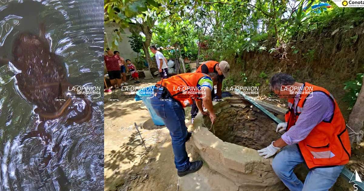 Capturan víboras en pozo de agua Capturan víboras en pozo de agua