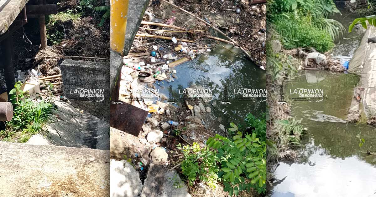 Otra vez, cauce del arroyo en la Camacho está taponado con basura Otra vez, cauce del arroyo en la Camacho está taponado con basura