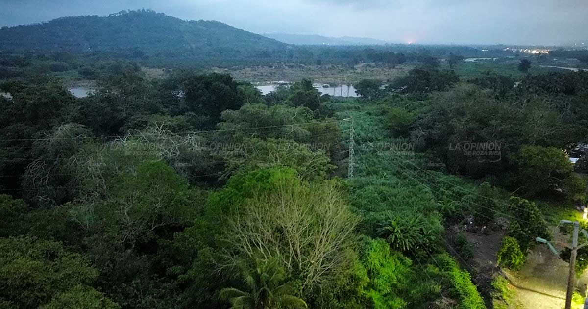 PIDEN ÁRBOLES EN ZONA A REUBICAR