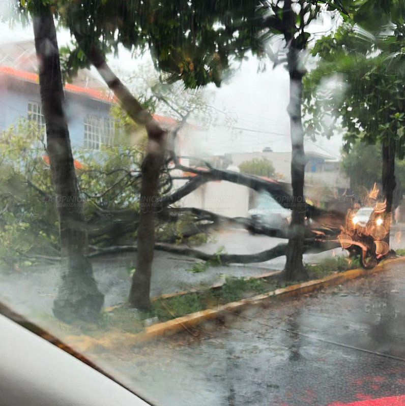 Tormenta inunda y deja severas afectaciones en cuatro municipios de la zona conurbada