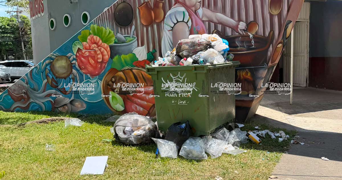 Denuncian deterioro y abandono en la Plaza Civica