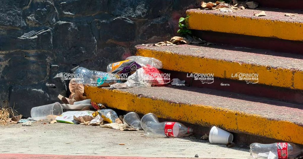 Denuncian deterioro y abandono en la Plaza Civica