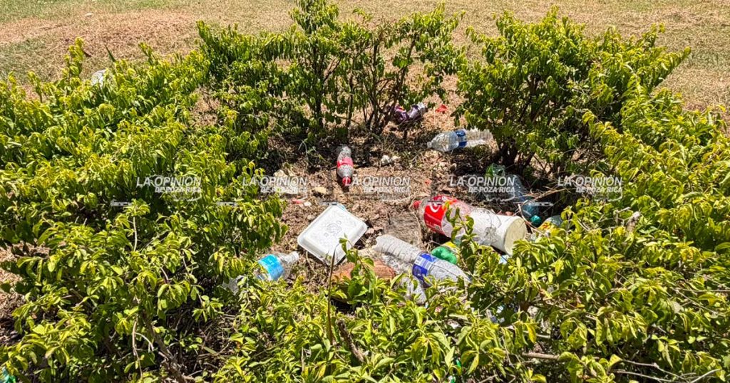 Denuncian deterioro y abandono en la Plaza Civica