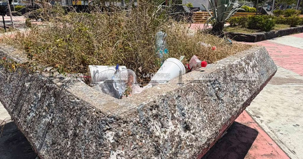 Denuncian deterioro y abandono en la Plaza Civica