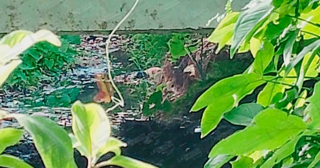 Hallan cadáver bajo el puente El Mollejón; permanece en calidad de desconocido