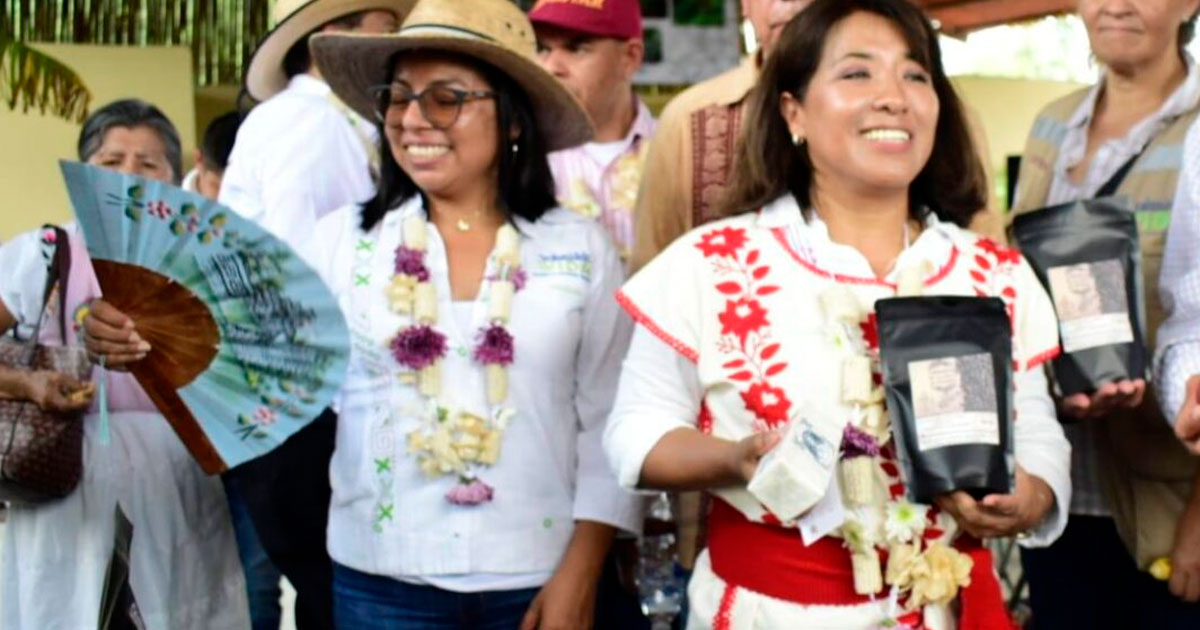 Sustituyen a coordinadora territorial de Sembrando Vida en Papantla Sustituyen a coordinadora territorial de Sembrando Vida en Papantla