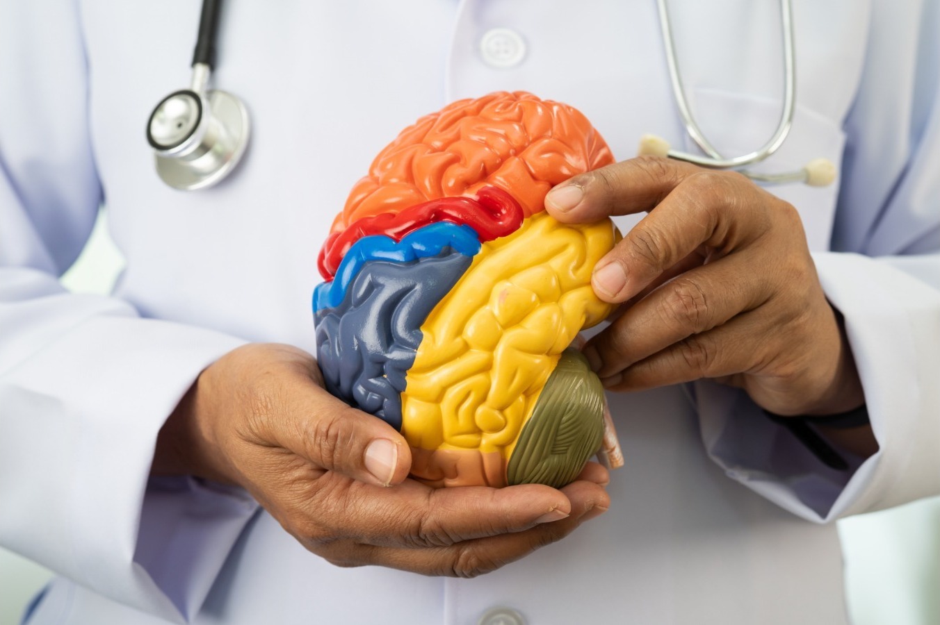Informa IMSS Veracruz Norte importancia de mantener buenos hábitos para salud del cerebro