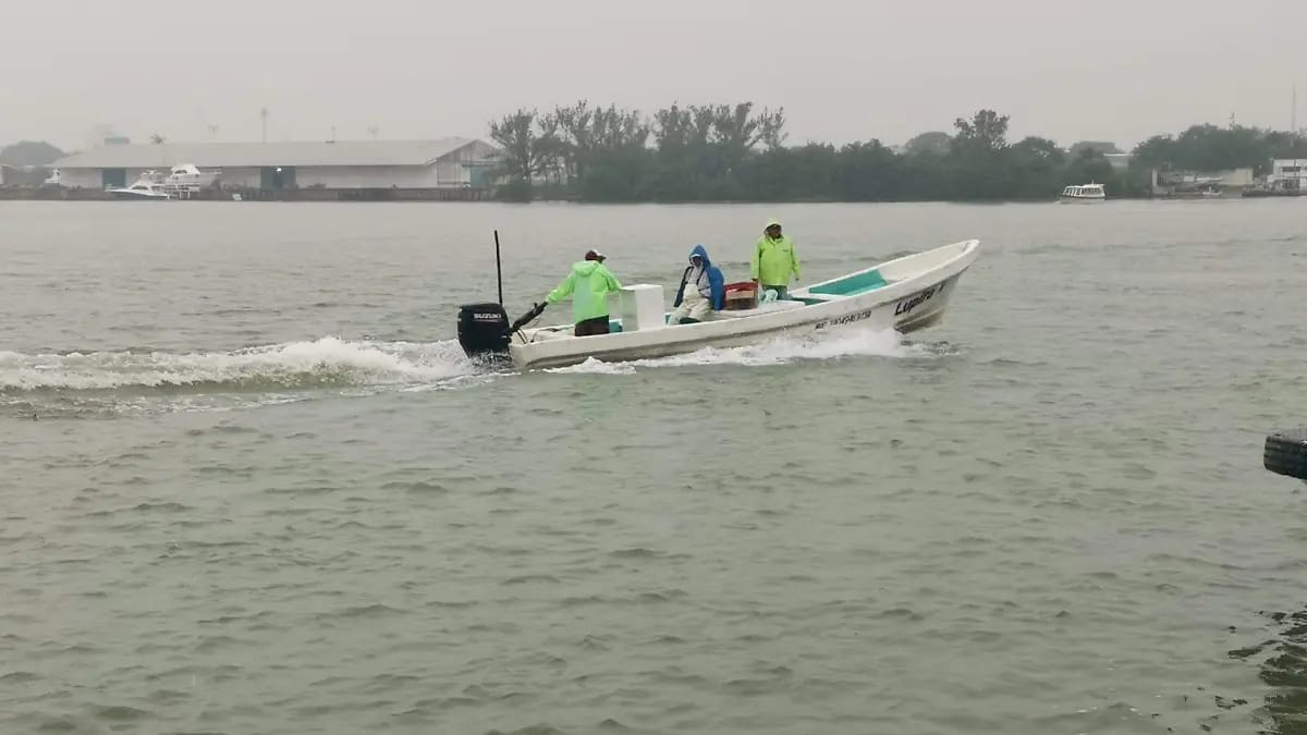 Furtivismo y burocracia de Conapesca asfixian al sector pesquero en Veracruz