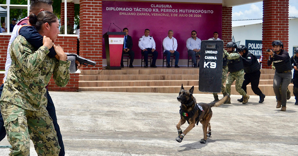 Veracruz referente nacional en capacitación K9, concluye 5.° diplomado táctico especializado Veracruz referente nacional en capacitación K9, concluye 5.° diplomado táctico especializado