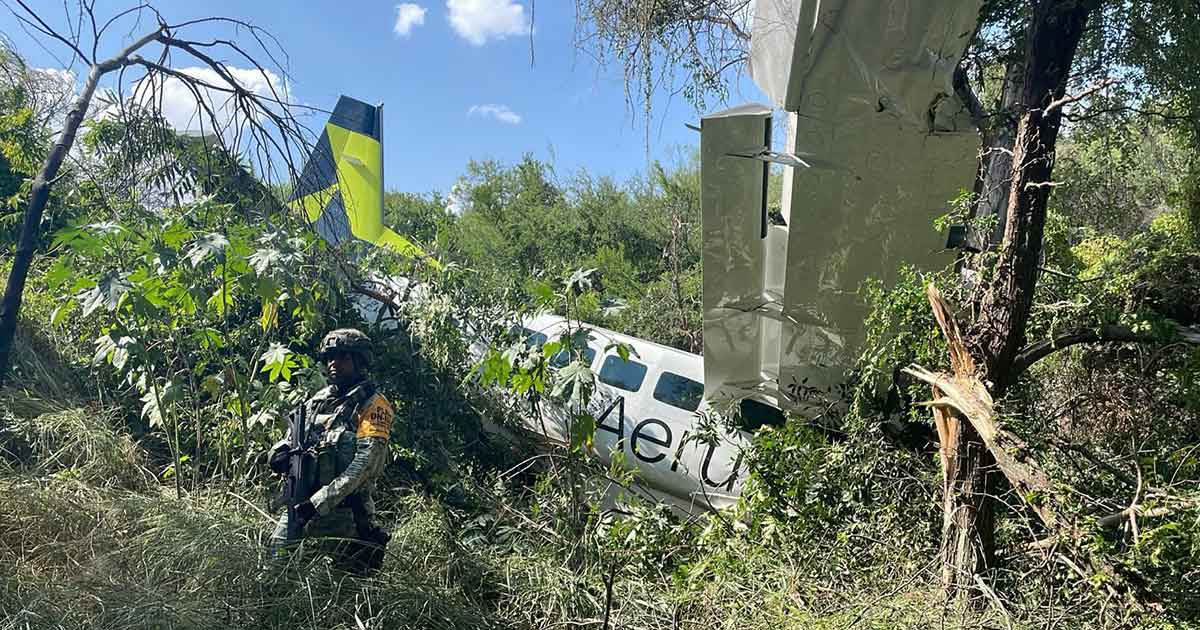 Avioneta se desploma en Pesquería; autoridades investigan el accidente