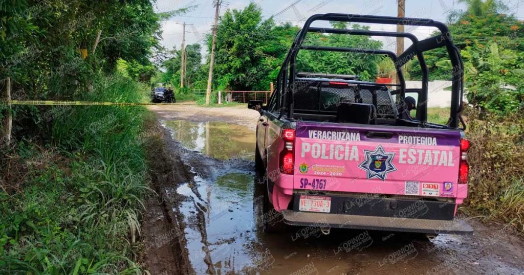 Golpe a presunta red delictiva: aseguran cinco vehículos durante operativo en Tihuatlán Golpe a presunta red delictiva: aseguran cinco vehículos durante operativo en Tihuatlán