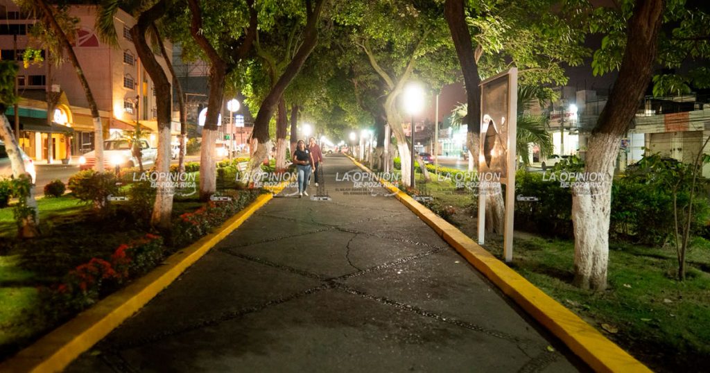 ¡DESLUMBRA EL CAMELLÓN!
