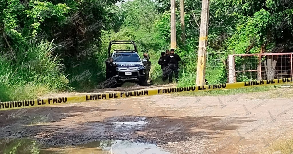 Fuerte despliegue de fuerzas de seguridad culmina con aseguramiento de un predio