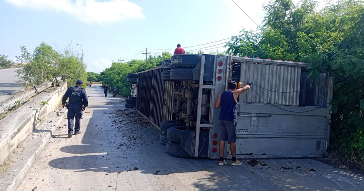 Vuelca tráiler cargado con ganado en Moralillo, Pánuco; chofer sale ileso Vuelca tráiler cargado con ganado en Moralillo, Pánuco; chofer sale ileso