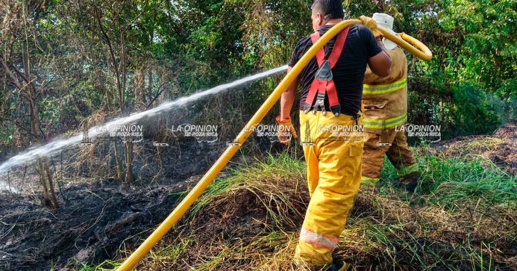 Quema de basura provoca incendio Quema de basura provoca incendio