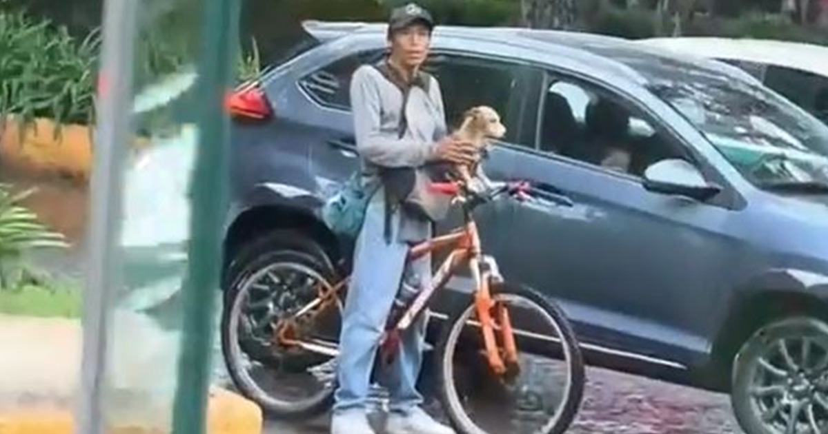 Mueren ciclista xalapeño y su perrita "Capuchina" tras accidente Mueren ciclista xalapeño y su perrita "Capuchina" tras accidente