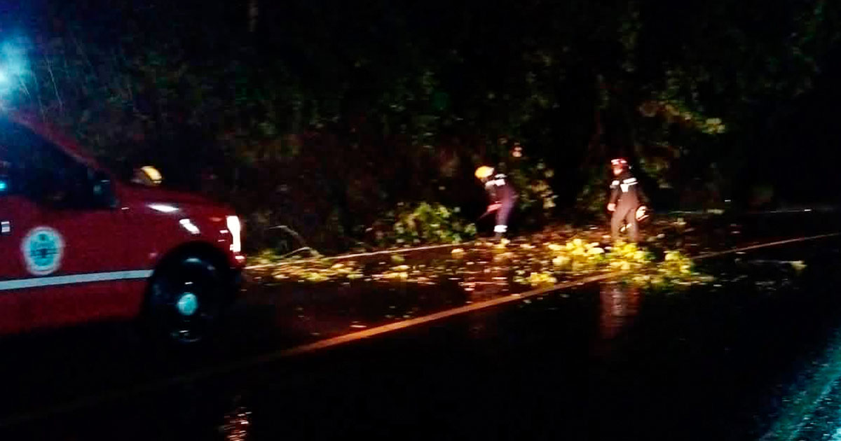 Intensas lluvias provocan caída de árboles sobre la carretera federal México Tuxpan