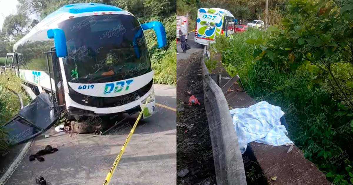 Autobús se queda sin frenos; cobra la vida de un menor de edad