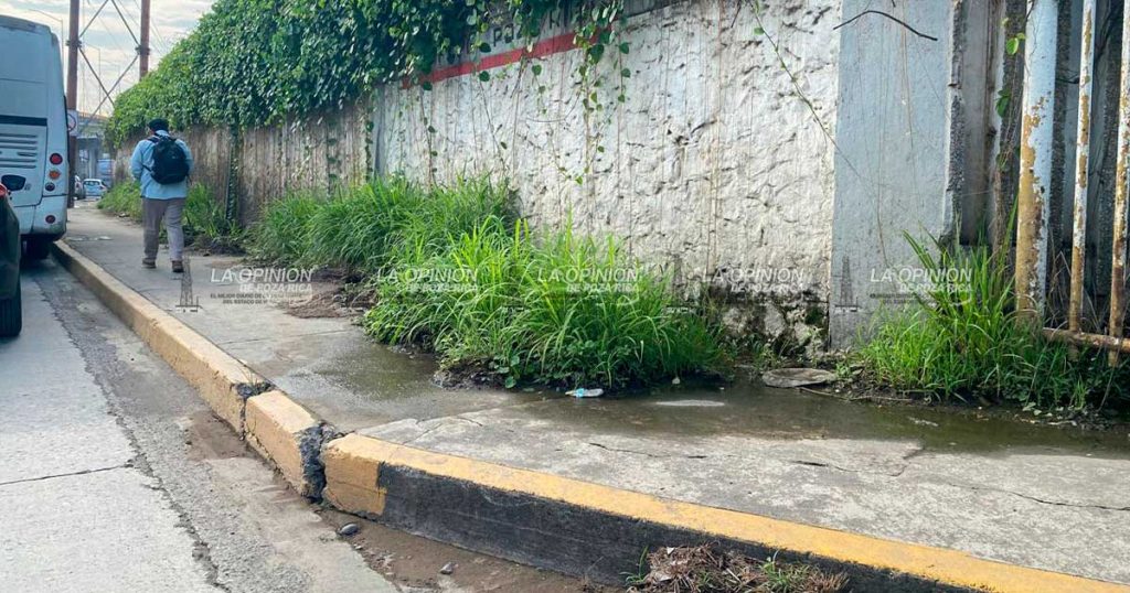 Maleza deteriora imagen de oficinas centrales de la CFE