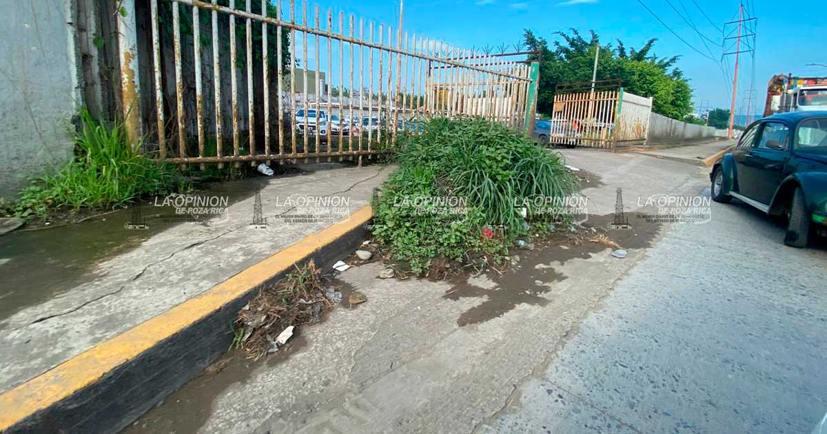 Maleza deteriora imagen de oficinas centrales de la CFE