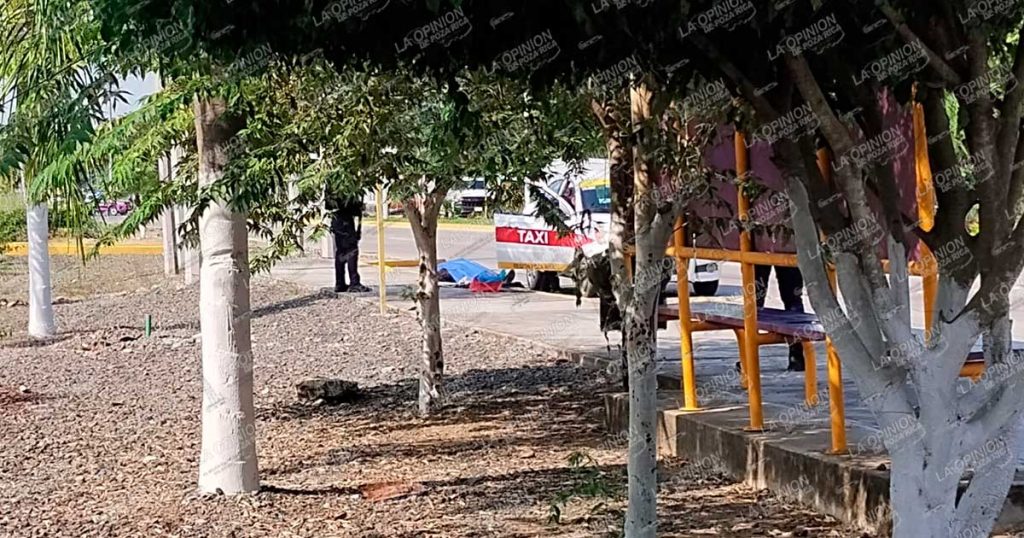 Golpe de calor cobra una vida en plena vía pública de Poza Rica; hombre fallece mientras cambiaba una llanta frente al CRIT Golpe de calor cobra una vida en plena vía pública de Poza Rica; hombre fallece mientras cambiaba una llanta frente al CRIT
