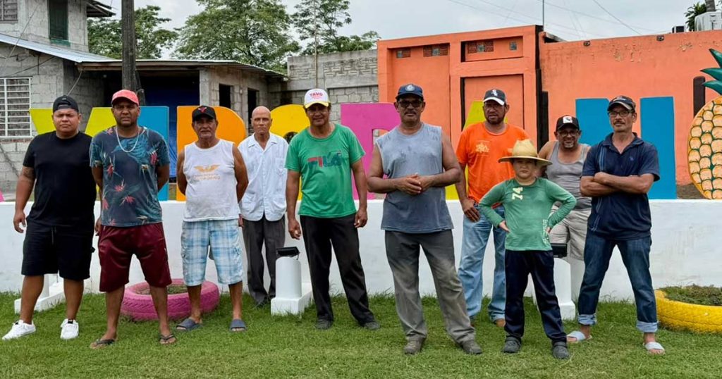 Cosechas a punto de pudrirse. Piñeros de Tlalixcoyan claman por auxilio para salvar su producción Cosechas a punto de pudrirse. Piñeros de Tlalixcoyan claman por auxilio para salvar su producción