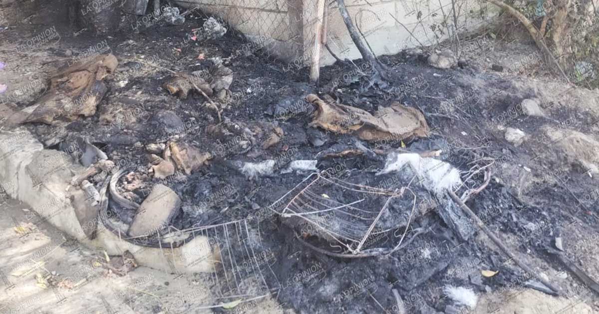 Llamas alarman a vecinos en Los Sauces; incendio de basura moviliza a Protección Civil Llamas alarman a vecinos en Los Sauces; incendio de basura moviliza a Protección Civil