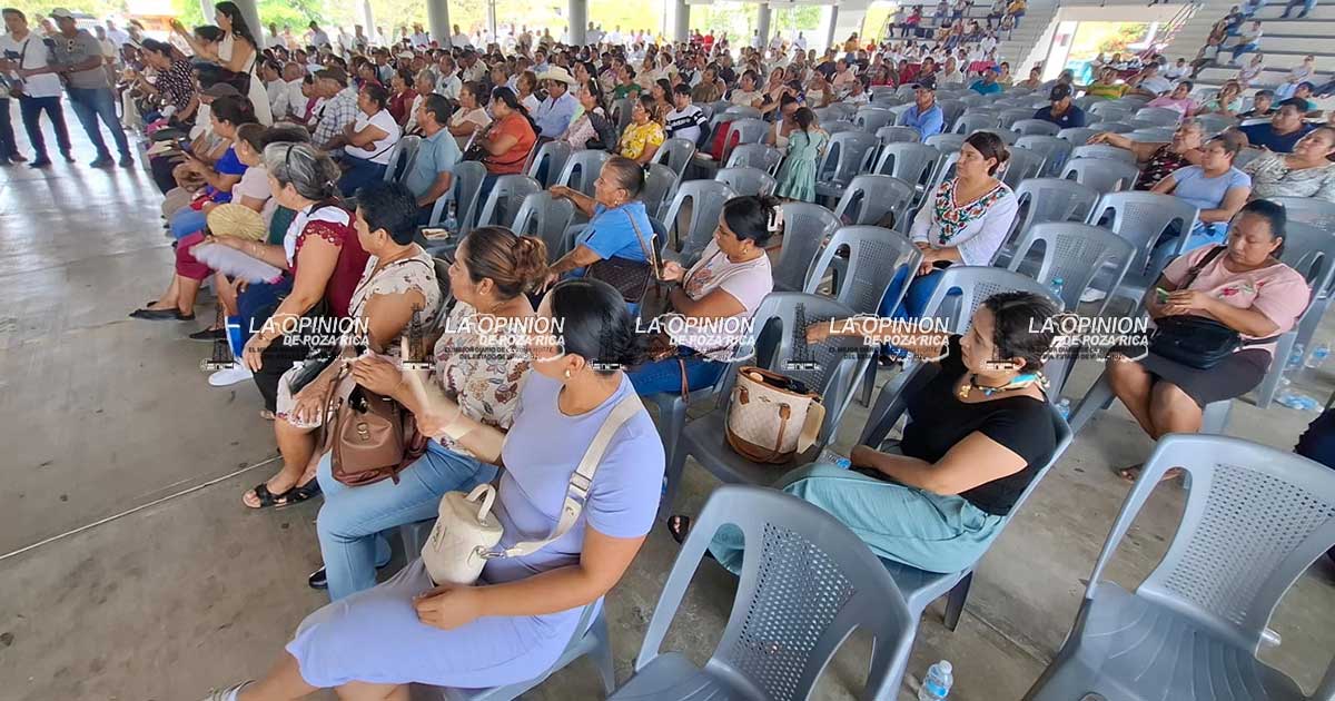 Llaman a mujeres a contender por las agencias y subagencias Llaman a mujeres a contender por las agencias y subagencias