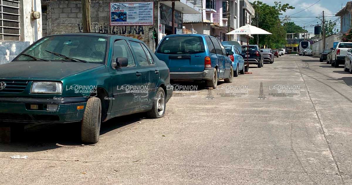 Tránsito del Estado procederá contra autos “maceta”