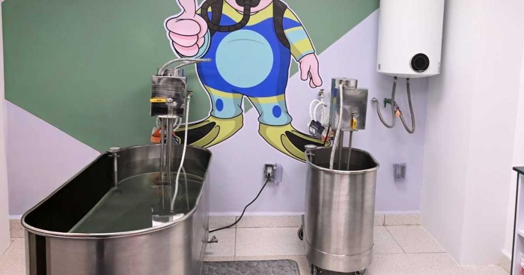 Ileana Ramírez regala cupones para consultas y terapias físicas gratuitas en Veracruz