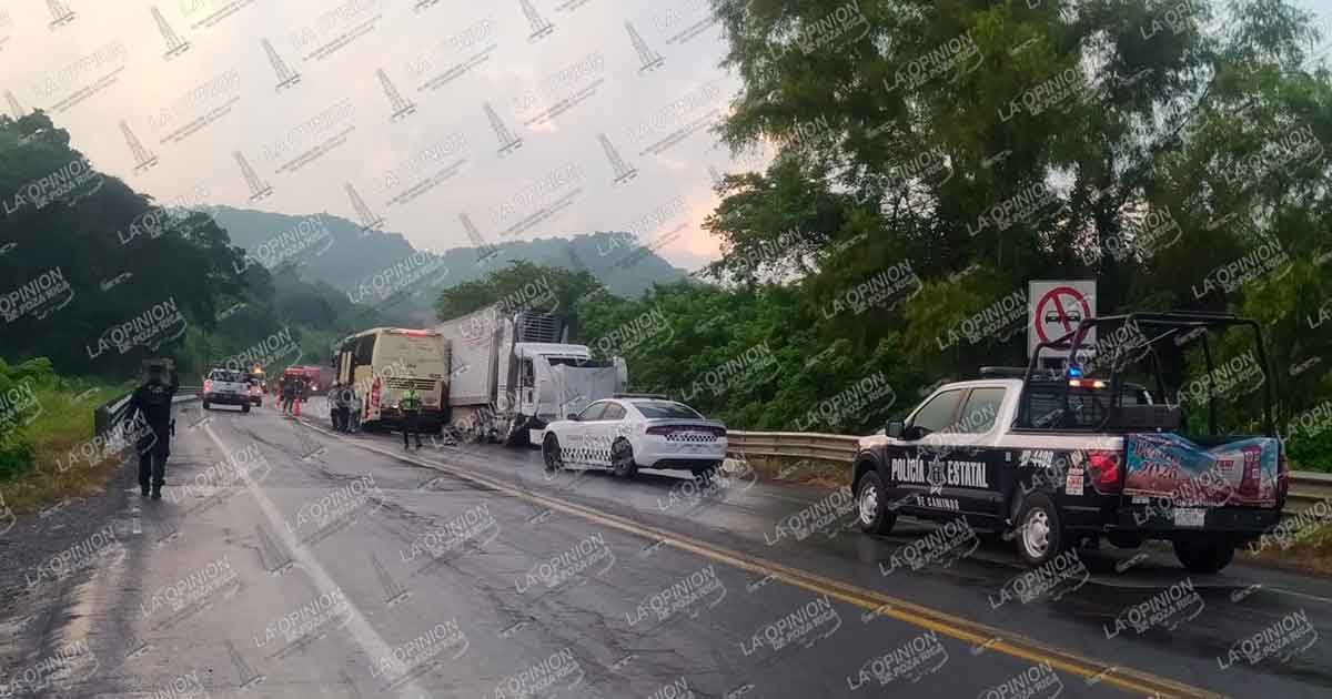 Vaca provoca accidente y desata momentos de tensión en la Tuxpan-Tihuatlán