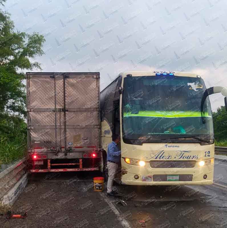 Vaca provoca accidente y desata momentos de tensión en la Tuxpan-Tihuatlán