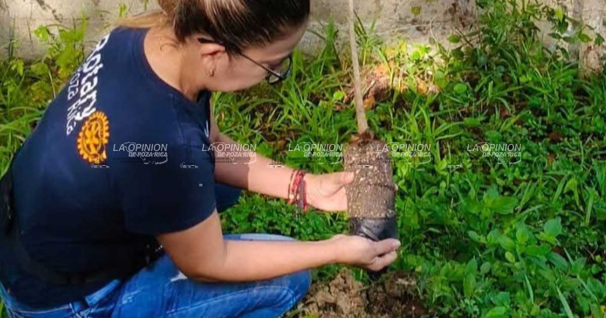 Llevan Jornada de reforestación al Ejido Cerro del Mesón