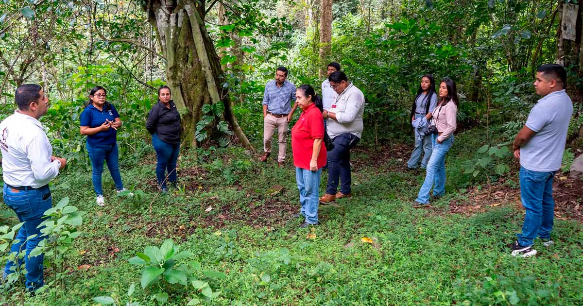 SEDEMA e INECOL blindan áreas naturales protegidas de Veracruz mediante estrategia integral de conservación