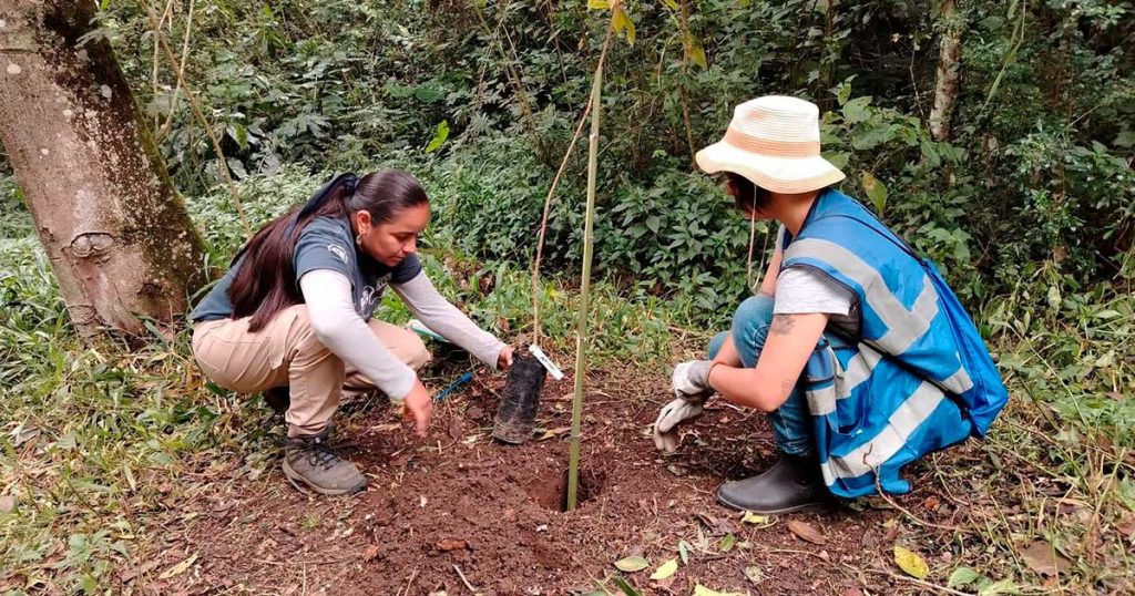 SEDEMA e INECOL blindan áreas naturales protegidas de Veracruz mediante estrategia integral de conservación